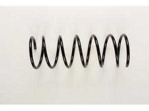 BILSTEIN 36-198221 spyruoklė 
 Pakaba -> Spyruoklės
5002.35, 5002.78, 5002.HS, 91 539 874