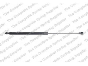 ROC GS1572 dujinė spyruoklė, bagažinė 
 Priedai -> Bagažinė/pakrovimo skyrius
51247239871
