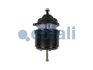 COJALI 2251536 spyruoklinis stabdžių cilindras