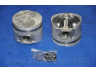 PARTS-MALL PXMSA-0322 stūmoklis 
 Variklis -> Cilindrai/stūmokliai
2341042791