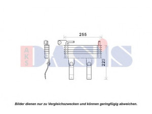 AKS DASIS 516017N alyvos aušintuvas, variklio alyva 
 Aušinimo sistema -> Radiatorius/alyvos aušintuvas -> Alyvos aušintuvas
254602E000