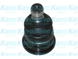 KAVO PARTS SBJ-7501 atramos/vairo trauklė 
 Ašies montavimas/vairavimo mechanizmas/ratai -> Sujungimai -> Atramos/vairo trauklė
4443021000