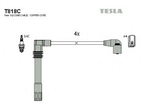 TESLA T818C uždegimo laido komplektas 
 Kibirkšties / kaitinamasis uždegimas -> Uždegimo laidai/jungtys
06A905409D