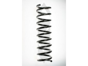 SPIDAN 55109 spyruoklė 
 Pakaba -> Spyruoklės
33 53 1 091 548