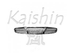 KAISHIN 96231418 kėbulas 
 Kėbulas -> Visa schema, automobilio kėbulo dalys
96231418