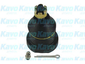 KAVO PARTS SBJ-4521 atramos/vairo trauklė
066234550C, 066299354, 066299354A