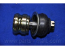 PARTS-MALL PXCJA-011 atramos/vairo trauklė
5453002000, 5453002000C, 5453002050