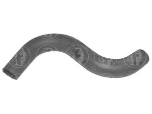 FARE SA 7574 radiatoriaus žarna 
 Aušinimo sistema -> Žarnelės/vamzdeliai/sujungimai -> Radiatoriaus žarnos
6112689