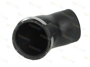 THERMOTEC DCW091TT kompresoriaus padavimo žarna
1K0145838S