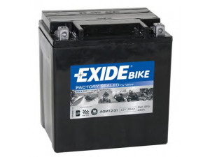 EXIDE AGM12-31 starterio akumuliatorius; starterio akumuliatorius 
 Elektros įranga -> Akumuliatorius