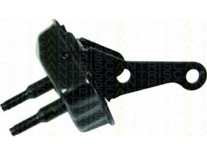 TRISCAN 8500 28534 rėmas, ašies korpusas 
 Ašies montavimas/vairavimo mechanizmas/ratai -> Ašies atrama/ašies korpusas/ašies montavimas -> Pasukamojo veleno sujungimas
5131.69, 5131.82, 5131.69, 5131.82