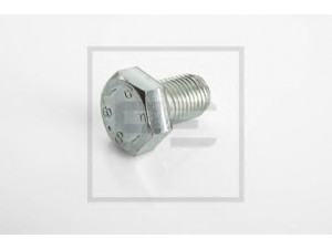 PE Automotive 010.303-00A varžtas
000961 014127