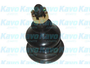 KAVO PARTS SBJ-2002 atramos/vairo trauklė 
 Ašies montavimas/vairavimo mechanizmas/ratai -> Sujungimai -> Atramos/vairo trauklė
51270SFE003, 51270S01013, 51270S01023
