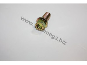 AUTOMEGA 3060101398D0D rato varžtas
8D0601139D, 8D0601139D, 8D0601139D