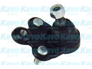 KAVO PARTS SBJ-2016 atramos/vairo trauklė 
 Ašies montavimas/vairavimo mechanizmas/ratai -> Sujungimai -> Atramos/vairo trauklė
51220SNAA02, 51220SNAA03, 51220SNLT01