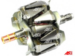 AS-PL AR6011 rotorius, kintamosios srovės generatorius