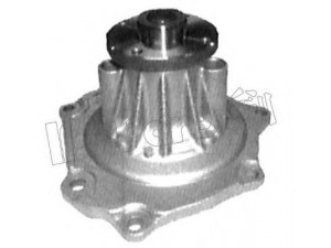 IPS Parts IPW-7160 vandens siurblys 
 Aušinimo sistema -> Vandens siurblys/tarpiklis -> Vandens siurblys
21010-44G00, 21010-44G25, 21010-44G27