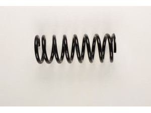 BILSTEIN 36-227235 spyruoklė 
 Pakaba -> Spyruoklės
114 324 05 04, 115 324 21 04, 123 324 06 04