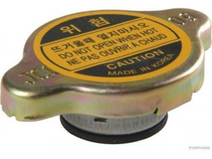 MAGNETI MARELLI 600000048010 radiatoriaus dangtelis
25330-25000, 25330-25000