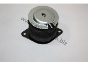 AUTOMEGA 3019902621H0L variklio montavimas
1H0199262L, 1H0199262L, 1H0199262L