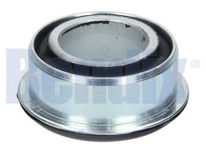 BENDIX 047340B valdymo svirties/išilginių svirčių įvorė
500350343