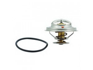 FISPA 94.217 termostatas, aušinimo skystis 
 Aušinimo sistema -> Termostatas/tarpiklis -> Thermostat
11531727145, 11532243126, 11532244151