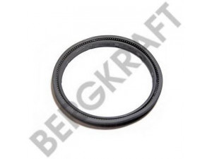 BERGKRAFT BK8005700 veleno sandariklis, rato stebulė
013682, 02.5664.55.64, 02.5664.57.00