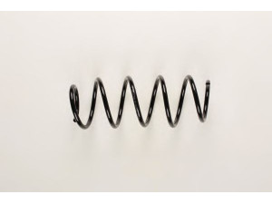 BILSTEIN 37-160692 spyruoklė 
 Pakaba -> Spyruoklės
6Q0 411 105 AC, 6Q0 411 105 AD