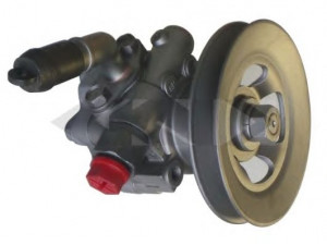 SPIDAN 54689 hidraulinis siurblys, vairo sistema 
 Vairavimas -> Vairo pavara/siurblys
49110-VK513