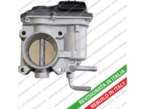 DIPASPORT FLAI117R droselio korpusas
MN158740