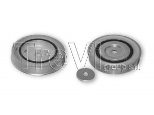 TREVI AUTOMOTIVE PC1123 skriemulys, alkūninis velenas 
 Diržinė pavara -> Dirželio skriemulys
LR004247