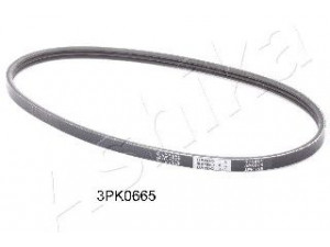 ASHIKA 112-3PK665 V formos rumbuoti diržai 
 Techninės priežiūros dalys -> Techninės priežiūros intervalai
96568068