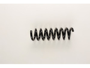 BILSTEIN 36-163731 spyruoklė 
 Pakaba -> Spyruoklės
211 324 07 04