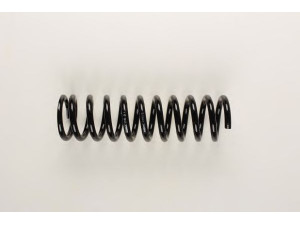 BILSTEIN 36-129461 spyruoklė 
 Pakaba -> Spyruoklės
202 321 00 04