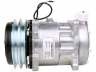 PowerMax 7010109 kompresorius, oro kondicionierius 
 Oro kondicionavimas -> Kompresorius/dalys