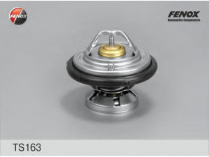FENOX TS163 termostatas, aušinimo skystis 
 Aušinimo sistema -> Termostatas/tarpiklis -> Thermostat
0032039875, 6012000115, 6022000015