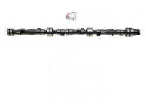 CAMPRO CP10615 skirstomasis velenas 
 Variklis -> Variklio uždegimo laiko reguliavimo kontrolė -> Skirstomasis velenas
11311269497