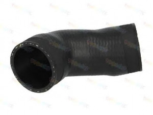 THERMOTEC DCW076TT kompresoriaus padavimo žarna 
 Išmetimo sistema -> Turbokompresorius
1K0145838AH
