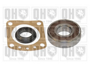 QUINTON HAZELL QWB254 rato guolio komplektas 
 Ašies montavimas/vairavimo mechanizmas/ratai -> Rato stebulė/montavimas -> Rato guolis
2101-2403080
