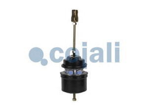 COJALI 2251528 spyruoklinis stabdžių cilindras