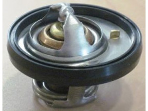 MOTORAD 656-91 termostatas, aušinimo skystis 
 Aušinimo sistema -> Termostatas/tarpiklis -> Thermostat
4666140AA
