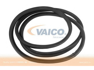 VAICO V30-1556 tarpiklis, priekinis langas 
 Kėbulas -> Transporto priemonės priekis -> Priekinis stiklas
116 671 00 20