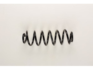 BILSTEIN 36-148257 spyruoklė 
 Pakaba -> Spyruoklės
1K0 511 115 BK, 1K0 511 115 BL