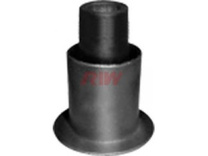 RIW NS11023 valdymo svirties/išilginių svirčių įvorė 
 Ašies montavimas/vairavimo mechanizmas/ratai -> Valdymo svirtis/pasukamosios svirties sujungimas -> Montavimas/sutvirtinimas
54500-EB300*, 54500-EB31A*, 54501-EB300*