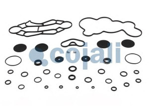 COJALI 6014117 remonto komplektas