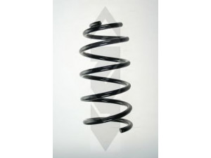 SPIDAN 56891 spyruoklė 
 Pakaba -> Spyruoklės
8N0 411 105 K