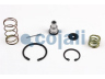 COJALI 6012112 remonto komplektas, greitinimo vožtuvas