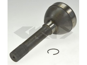 SPIDAN 23962 jungtis, kardaninis velenas 
 Ratų pavara -> Sujungimai/komplektas