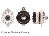 LUCAS ELECTRICAL LRA00581 kintamosios srovės generatorius 
 Elektros įranga -> Kint. sr. generatorius/dalys -> Kintamosios srovės generatorius
9031081