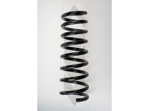 SPIDAN 55579 spyruoklė 
 Pakaba -> Spyruoklės
XR816958